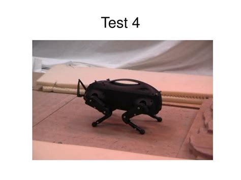 Test Recap 的图像结果