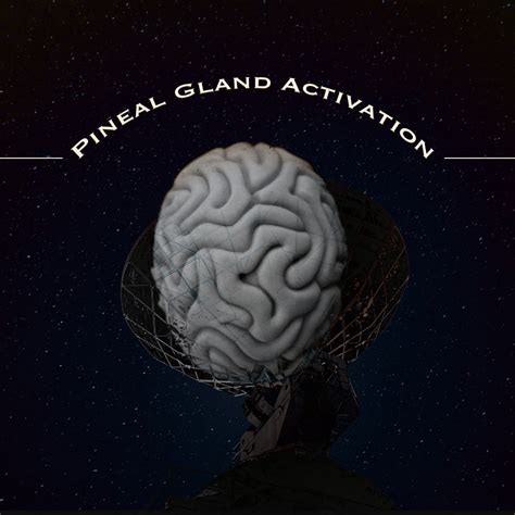 Pineal Gland Activation Activate Your Pineal Gland Sleep Meditation