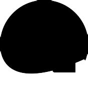 Image result for Advanced Identity Protector