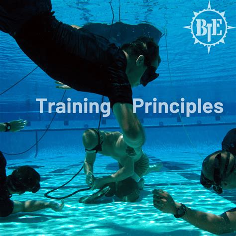 Principles of Training 的图像结果