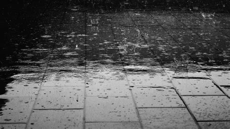 Study helps beat biases in monsoon prediction | Research Matters