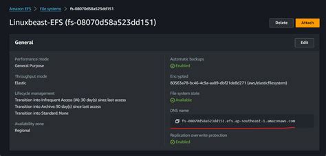 Image result for Create and Attach an Amazon EF-S Volume Using Linux Instance