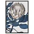 Bold and Blue Botanical Painting Framed Art Prints