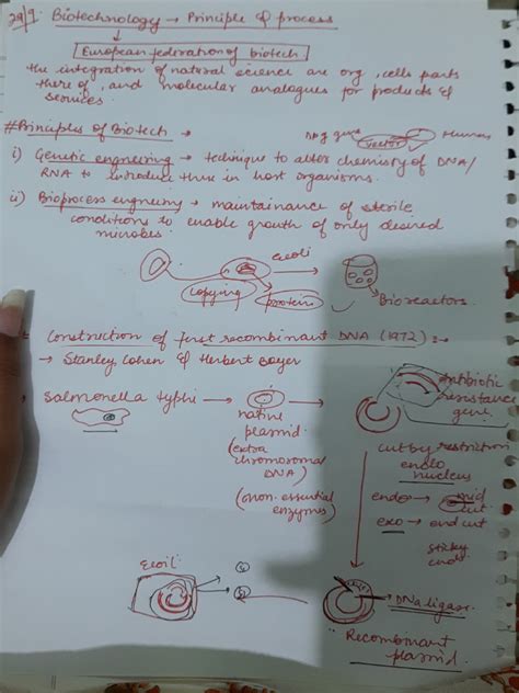 Image result for Biotechnology Process