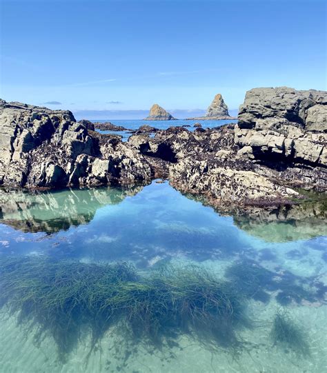 🔥Lone Ranch Beach, Oregon : r/NatureIsFuckingLit