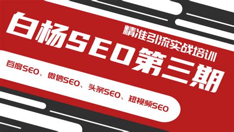 白杨SEO第三期教程，2020最新网站优化+精准引流课程网盘下载 - VIP课程/资源网