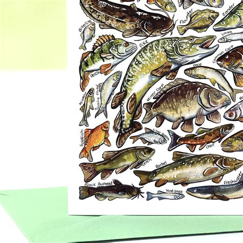 Freshwater Fish Of Britain Greeting Card By Alexia Claire