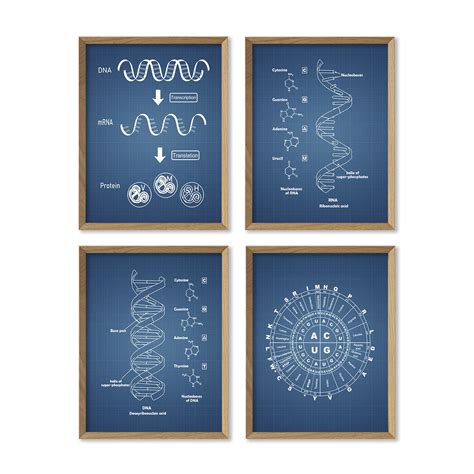 Blueprint DNA and RNA 8x10 Unframed Print Set India | Ubuy