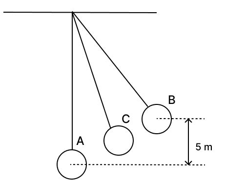 Q9: Question 6(iii)The figure below shows a simple pendulum of ...