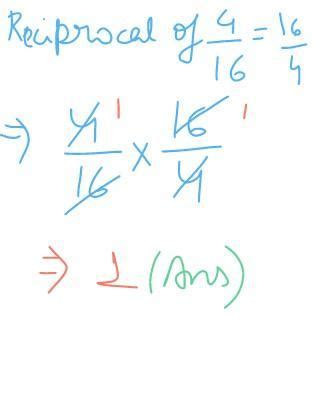Multiply 4/16 by its reciprocal - Brainly.in