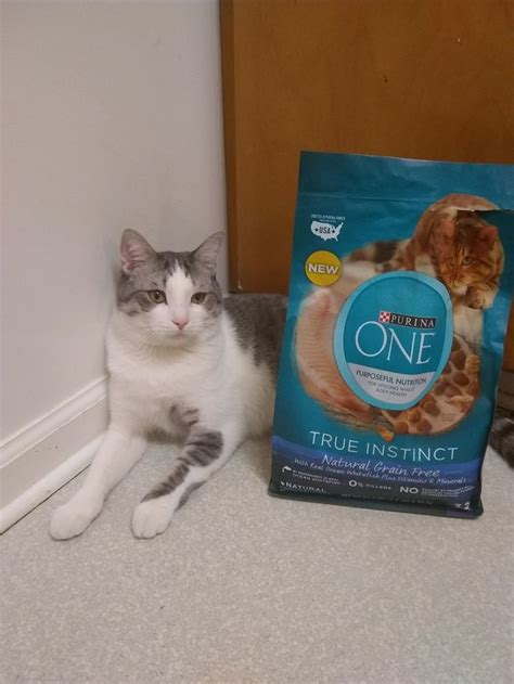 cat food kroger
