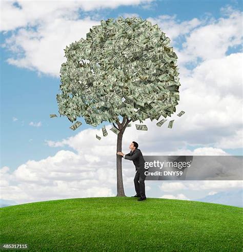 Image result for Tree Shaking