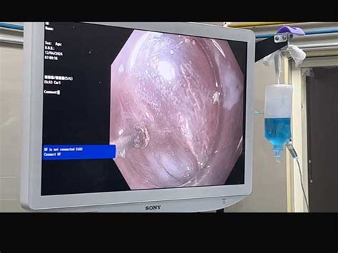 Kilpauk Medical College, Chennai - Official Website - GKMC