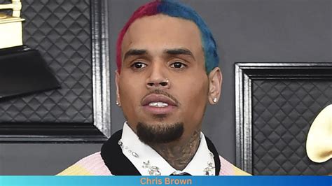 Net Worth of Chris Brown 2024 - Husband Info