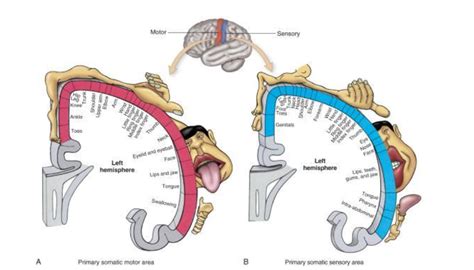 site:thecrite.com 的图像结果
