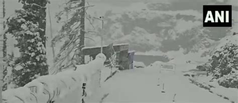 Fresh spell of snowfall in Gulmarg cheers tourists in J-K's Baramulla