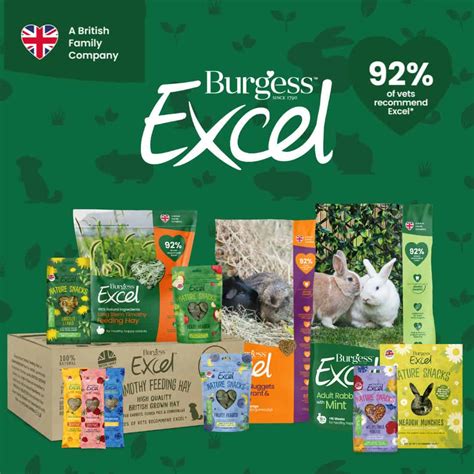 Alien Romulus Subtitles 的图像结果