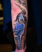 Image result for Blue Jay Tattoo Designs