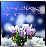 Image result for Good Morning Spring Baby Animals