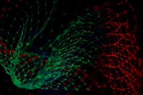 Image result for Data Science Python Meme