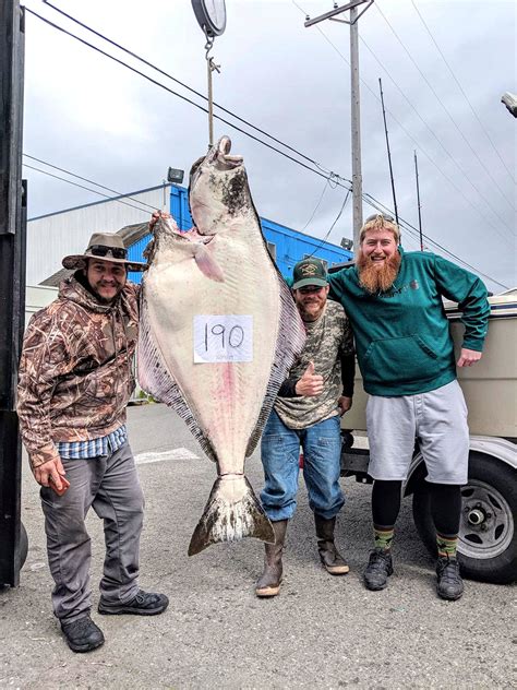 OUTDOORS: Port Angeles trio haul in huge halibut | Peninsula Daily News