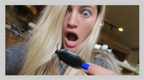 Image result for Cockroach Prank Videos