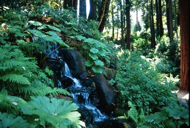Image result for Princess Bride Farm Scene