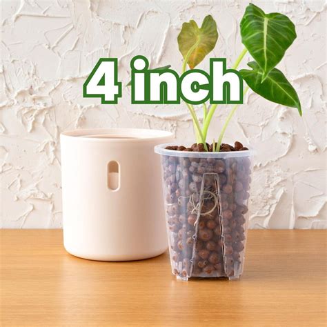 Leca Pots, Semi Hydro Self Watering Planter for Leca and Pon ...