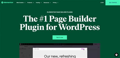 WordPress Elementor Basic vs Pro 的图像结果