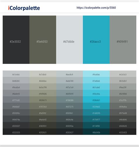 Image result for Stack Java Image Purple Color