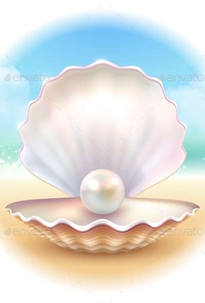 Image result for Normal Round Shell