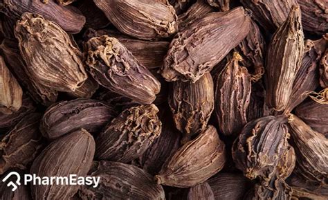 Black Cardamom (Badi Elaichi): Benefits, Uses, Side Effects & More ...