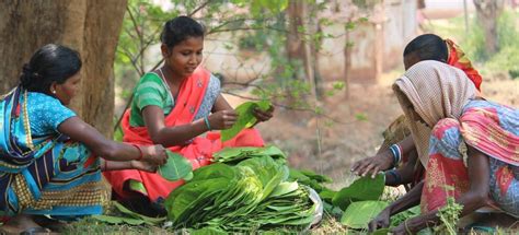 May 2025 Batch - Azim Premji University