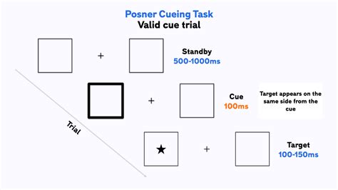 Posner cueing task - Free online template and explainer guide