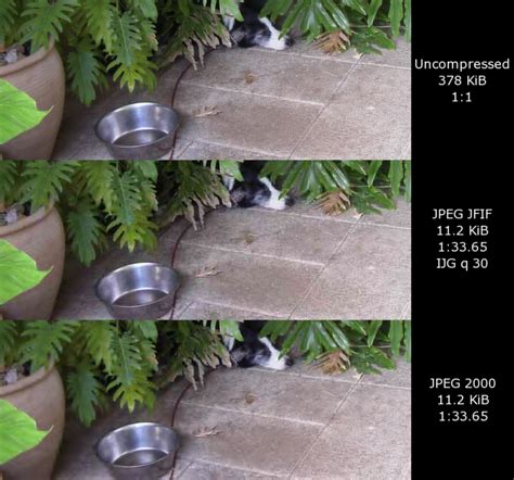 JPEG 2000 - Définition et Explications