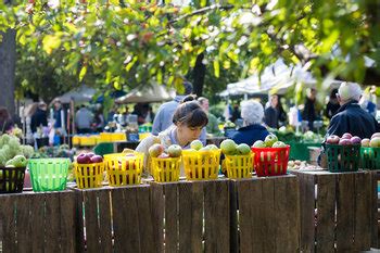 Image result for Economic Problems Examples