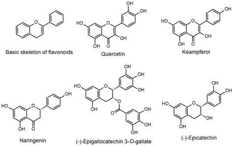 Exploring the Remarkable Chemotherapeutic Potential of Polyphenolic ...