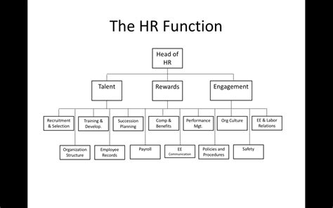 HR Function Definition 的图像结果