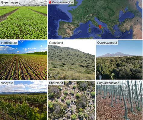 Image result for Land Gradient