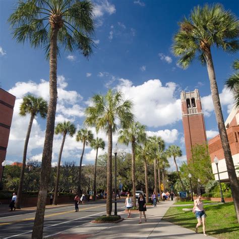 University of Florida - Acceptance Rate, Deadlines & Admission Info