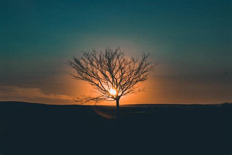 Single Definition in Human Design