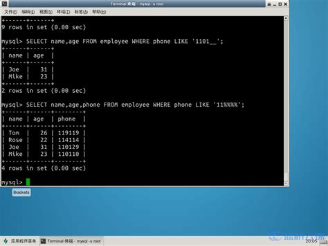 Select Syntax 的图像结果