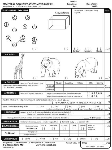 Moca Test Online 的图像结果