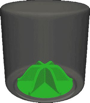 Image result for Washing Machine Simulator Instrument