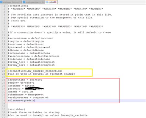 Image result for Snowsql Batch File Example