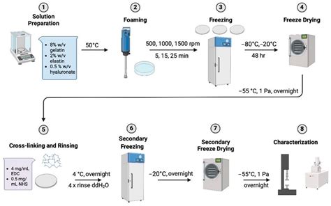 Investigation of the Effect of Preparation Parameters on the Structural ...