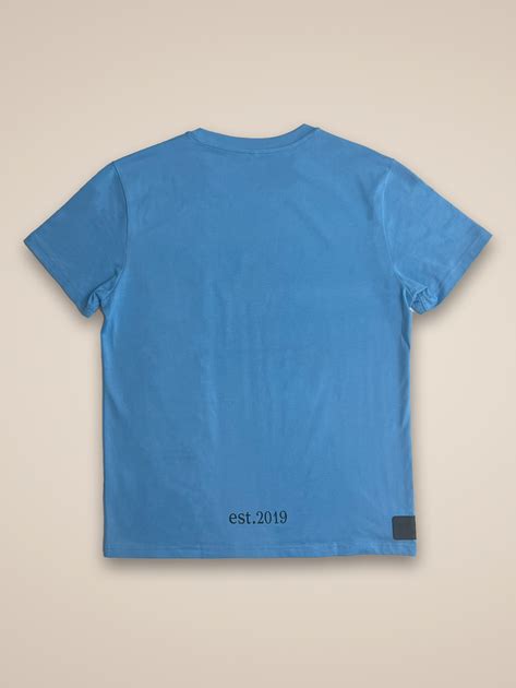 Image result for Azure Developer T-Shirt