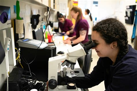 About Seattle Veterinary Associates - Seattle Vet