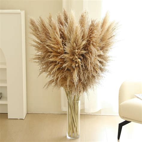 Amazon.com: Wertuirk 12 Stems 46 inch Tall Pampas Grass Decor - Large ...