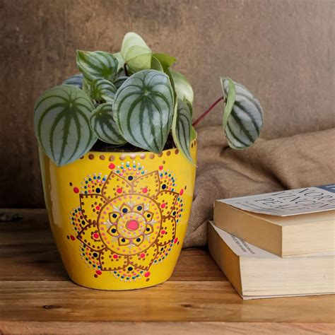 Yellow Flower Ceramic Clay Pots | Nursery Plant Ceramic Pot – The Earth ...